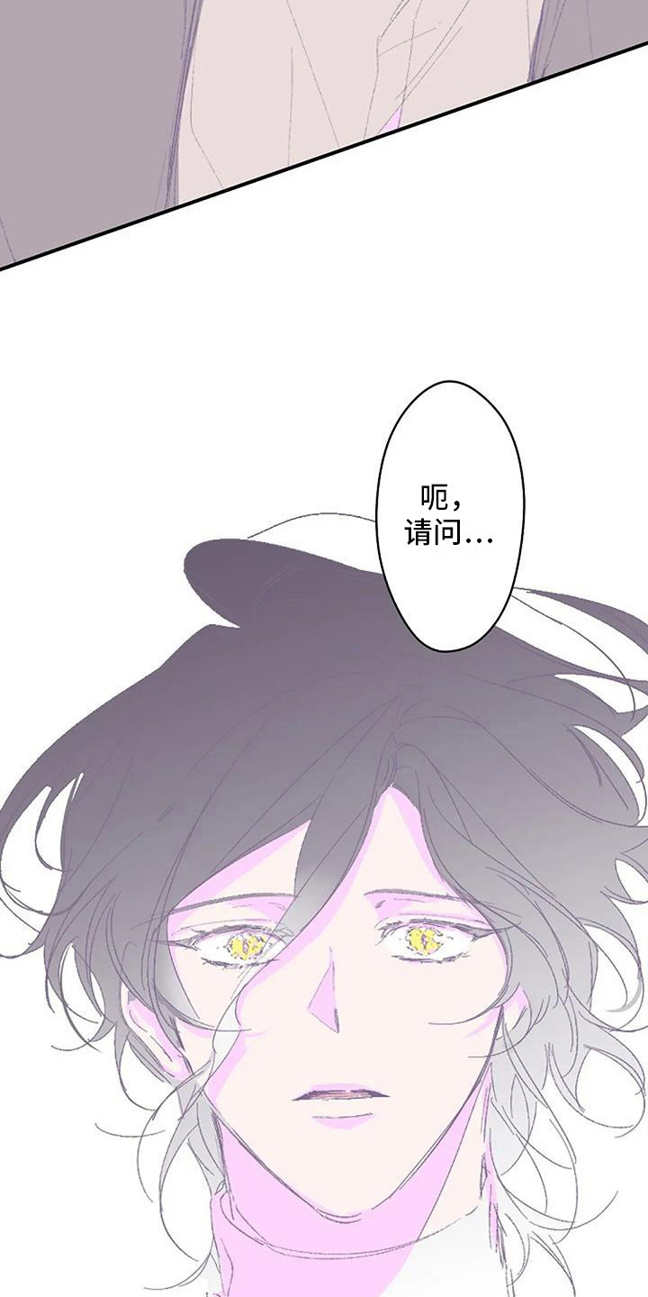 《末日旅伴》第3章白衣人 第14页