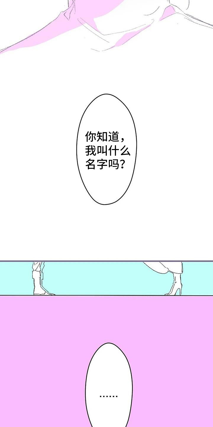 《末日旅伴》第3章白衣人 第15页