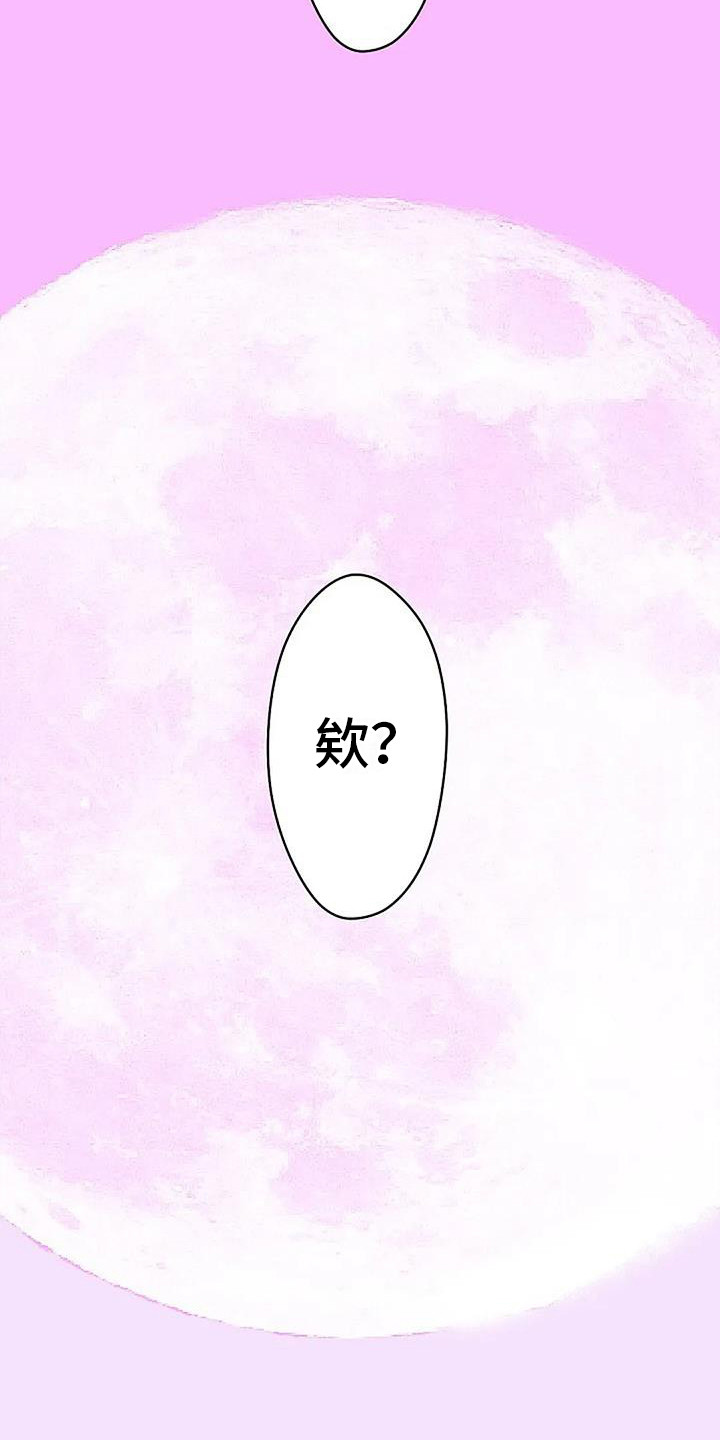 《末日旅伴》第3章白衣人 第16页
