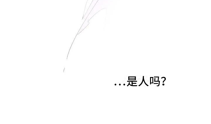 《末日旅伴》第3章白衣人 第20页