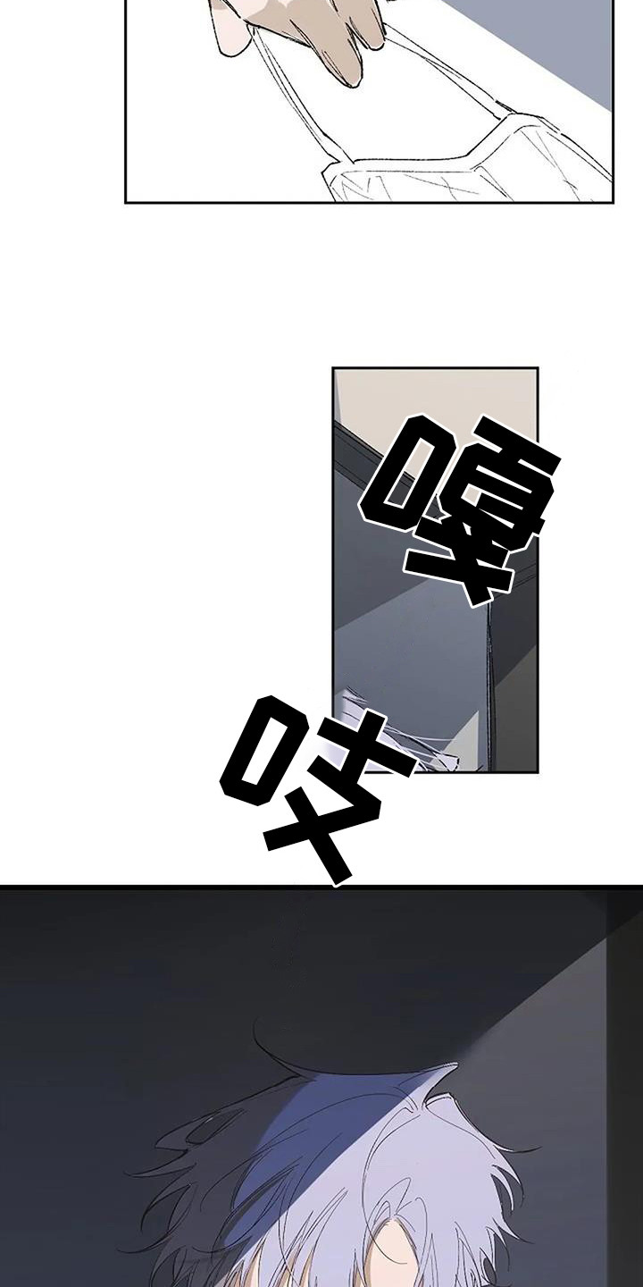 《末日旅伴》第1章日复一日 第11页