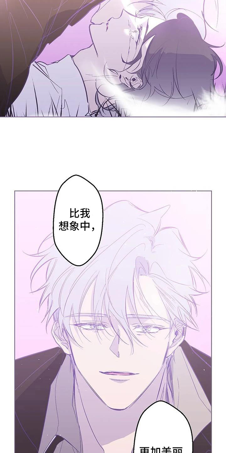 《末日旅伴》第10章倾诉 第6页