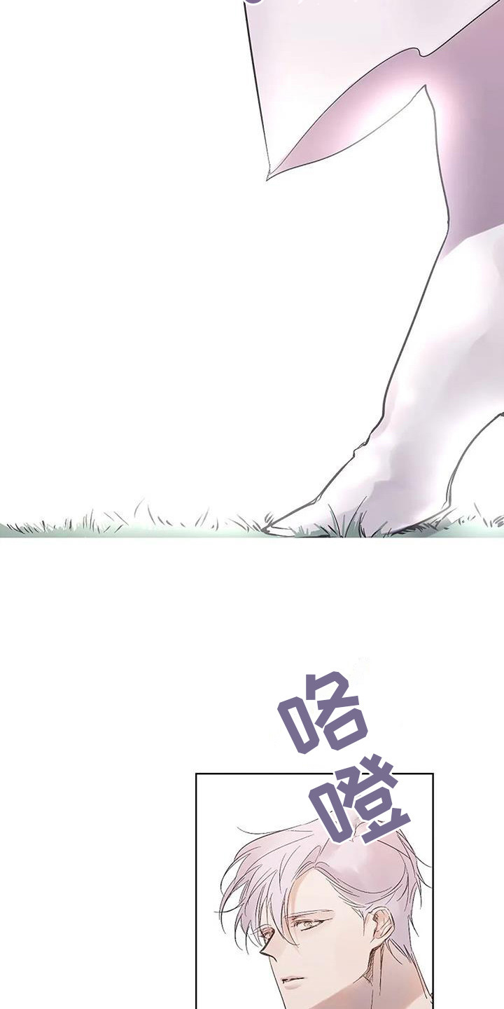 《末日旅伴》第13章灵感来源（完结） 第14页