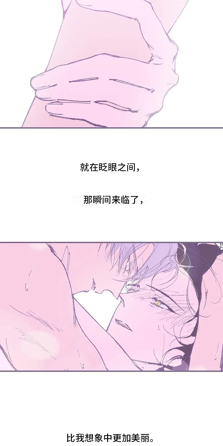 《末日旅伴》第11章很美丽 第7页