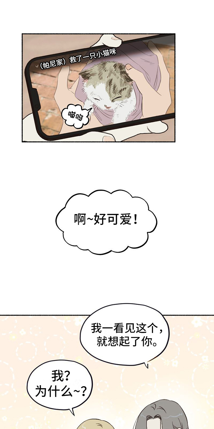 《雪融化的地方》第1章单纯 第2页