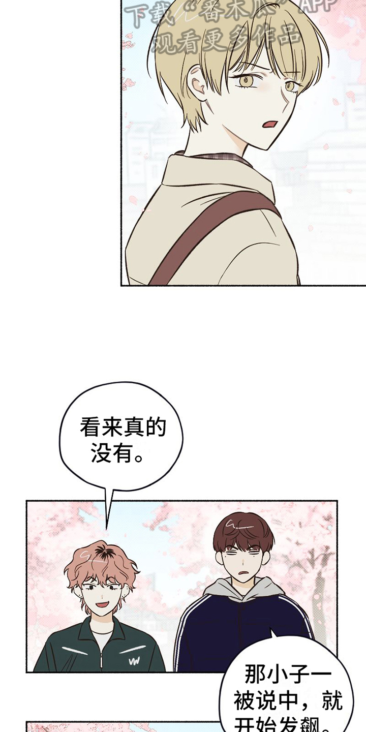 《雪融化的地方》第7章关怀 第13页