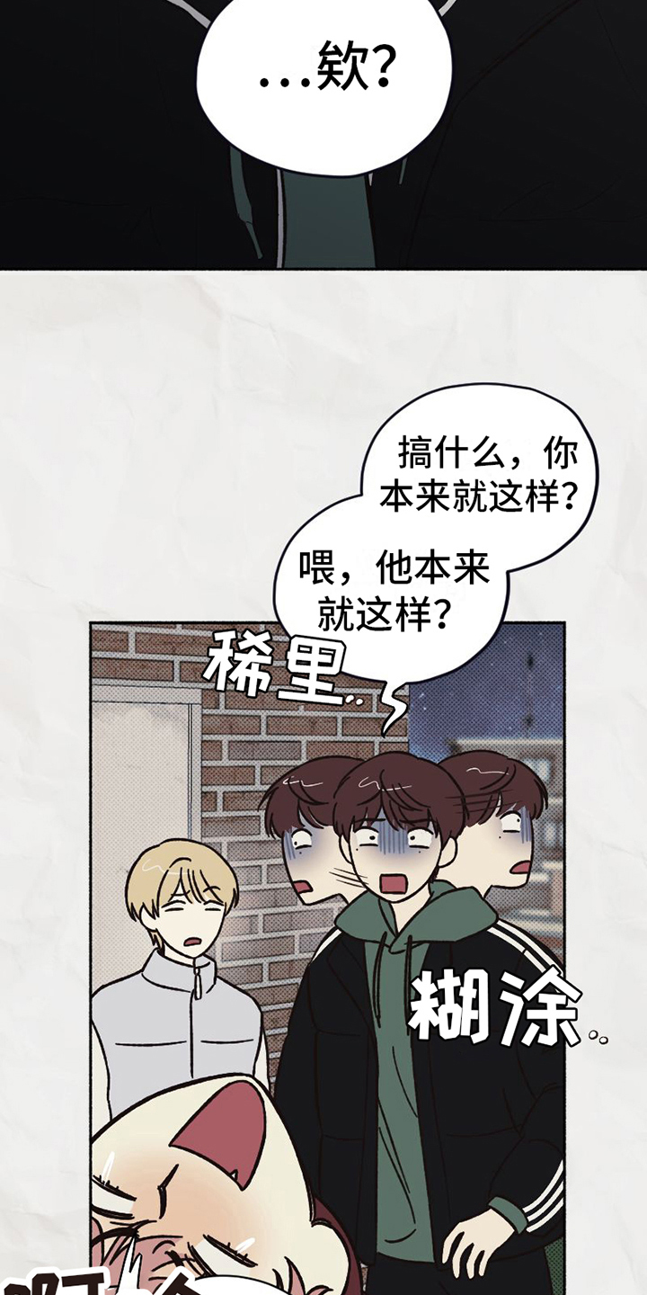 《雪融化的地方》第7章关怀 第2页