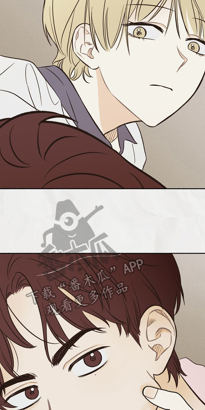 《雪融化的地方》第17章喜好 第3页