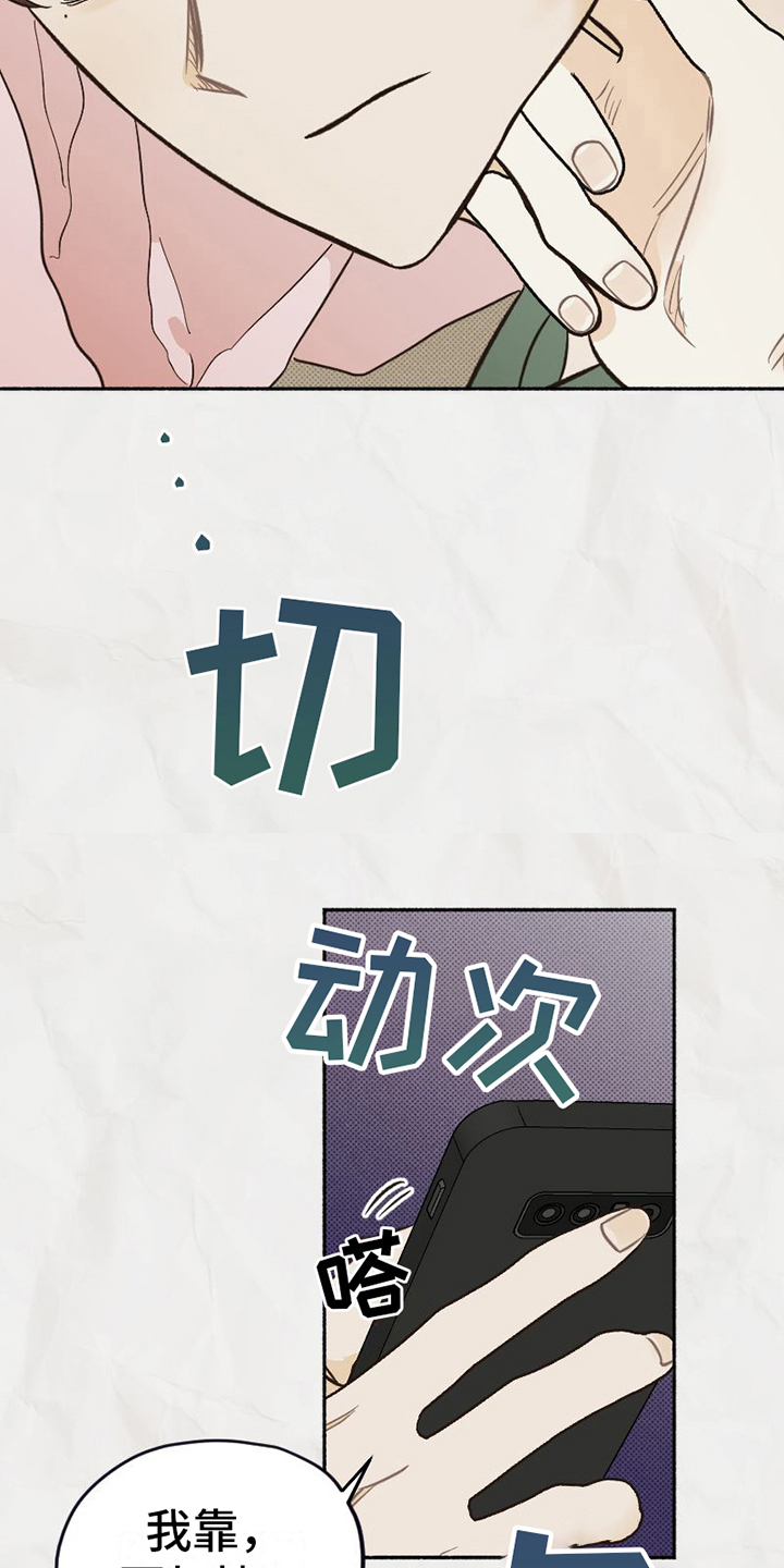 《雪融化的地方》第17章喜好 第4页