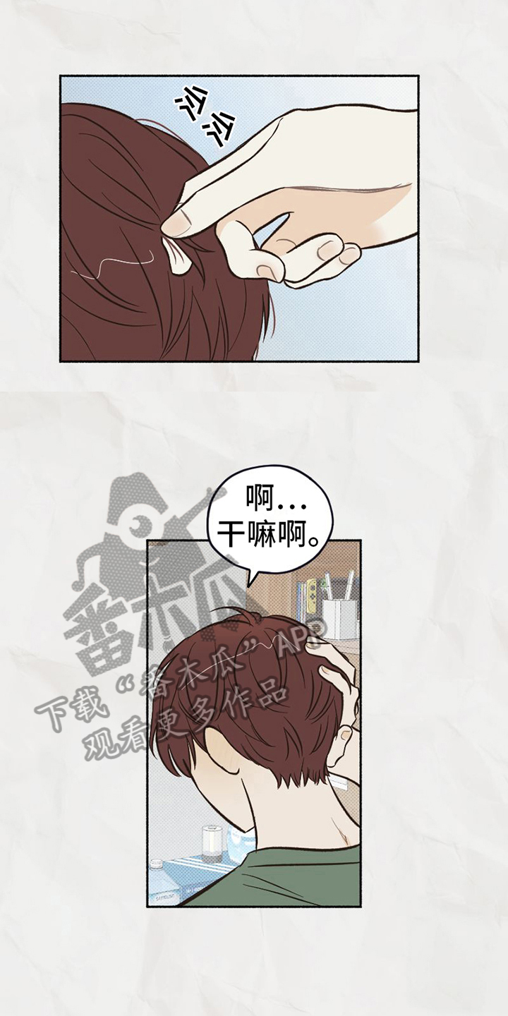 《雪融化的地方》第18章态度 第16页
