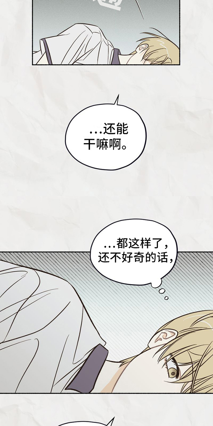 《雪融化的地方》第19章拒绝 第10页