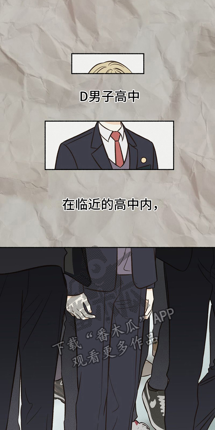 《雪融化的地方》第20章不普通 第1页