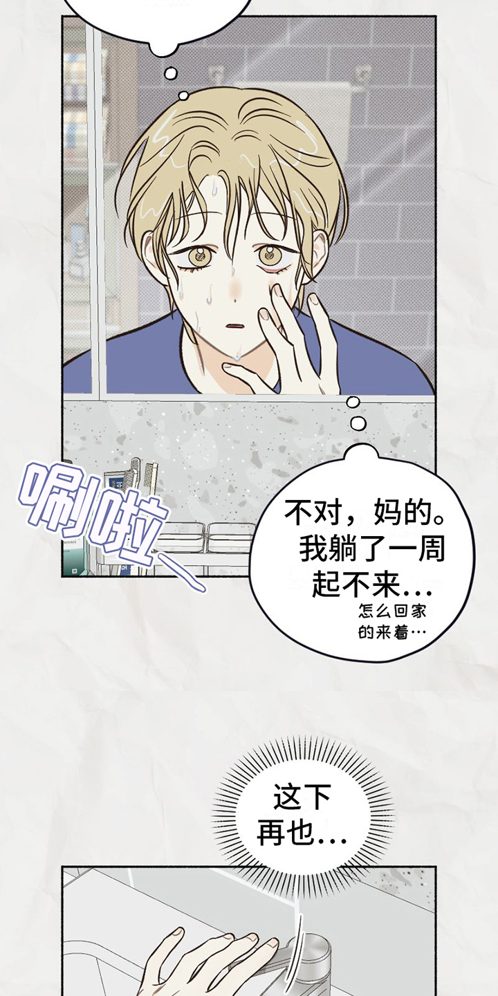 《雪融化的地方》第23章不能失误 第17页