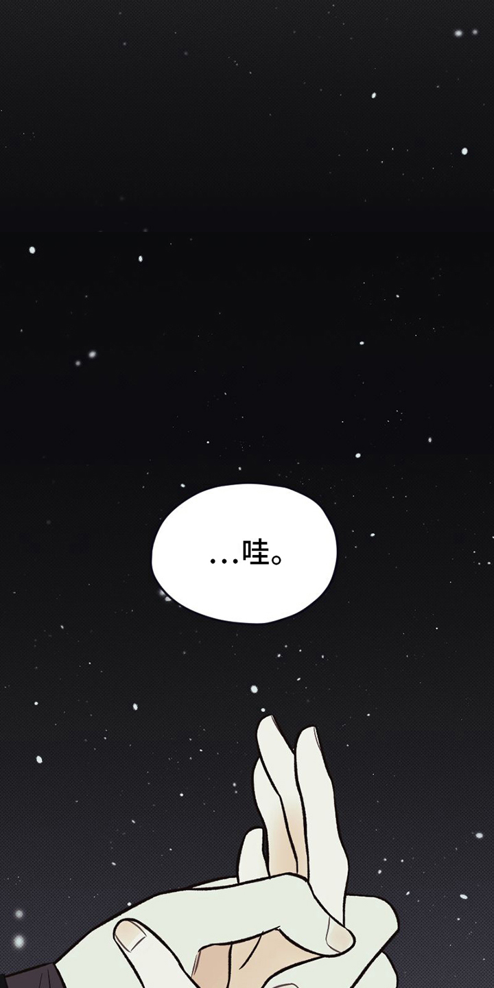《雪融化的地方》第23章不能失误 第5页