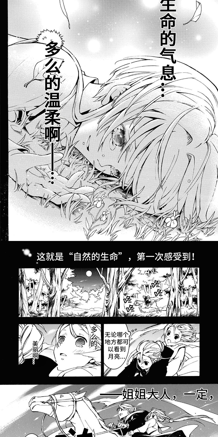 《葬列骑士》第5章生命的气息 第4页