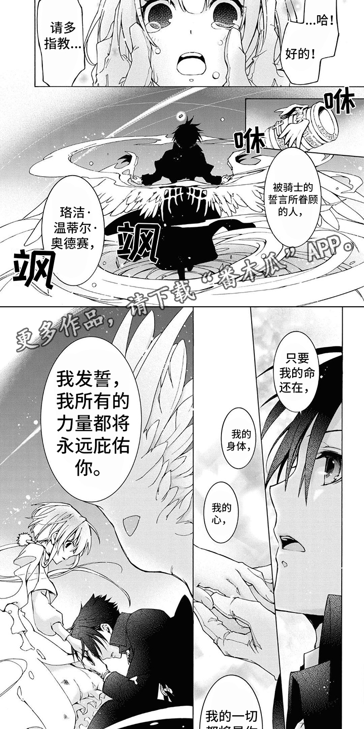 《葬列骑士》第15章骑士誓言 第2页