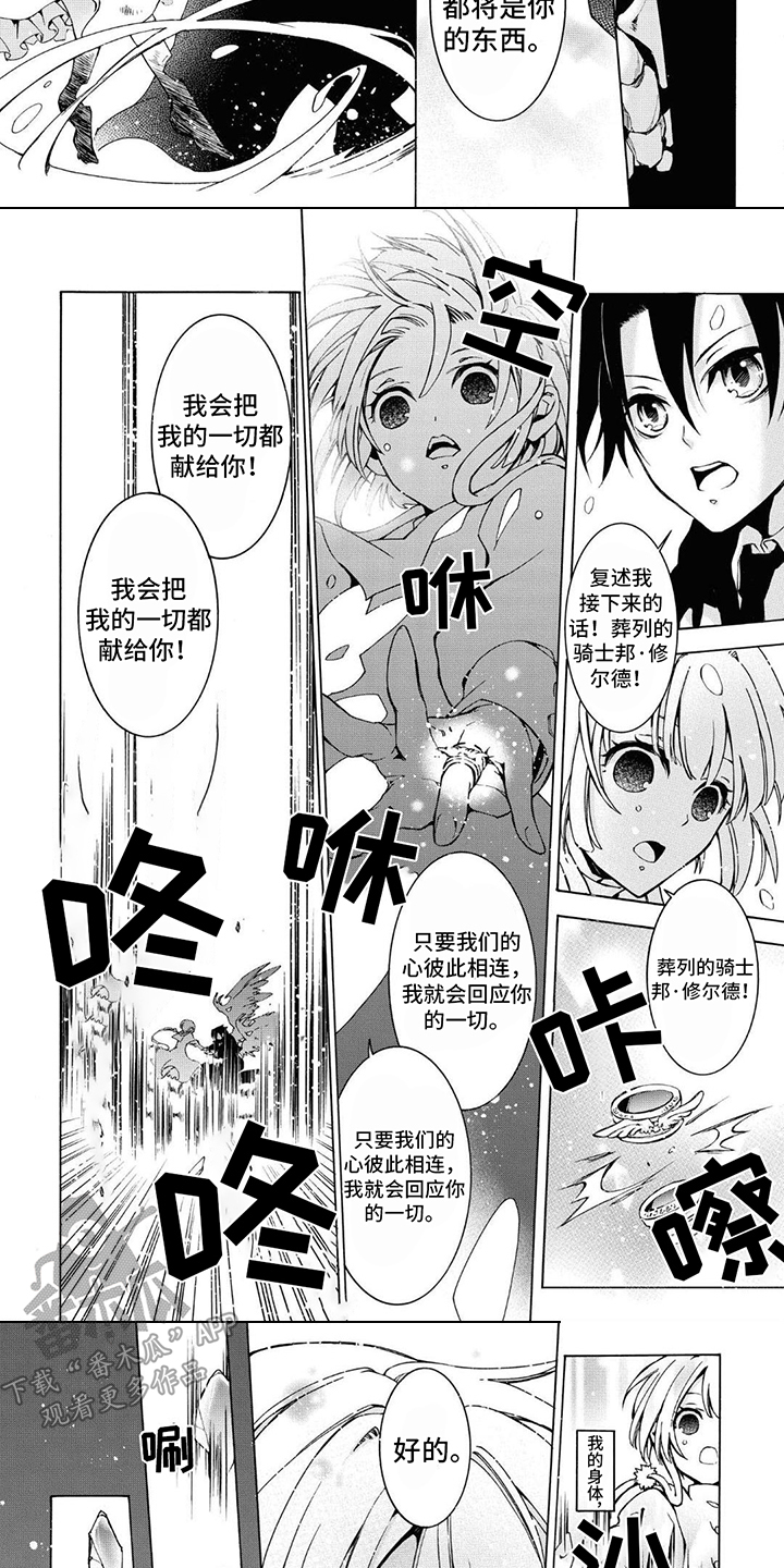 《葬列骑士》第15章骑士誓言 第3页