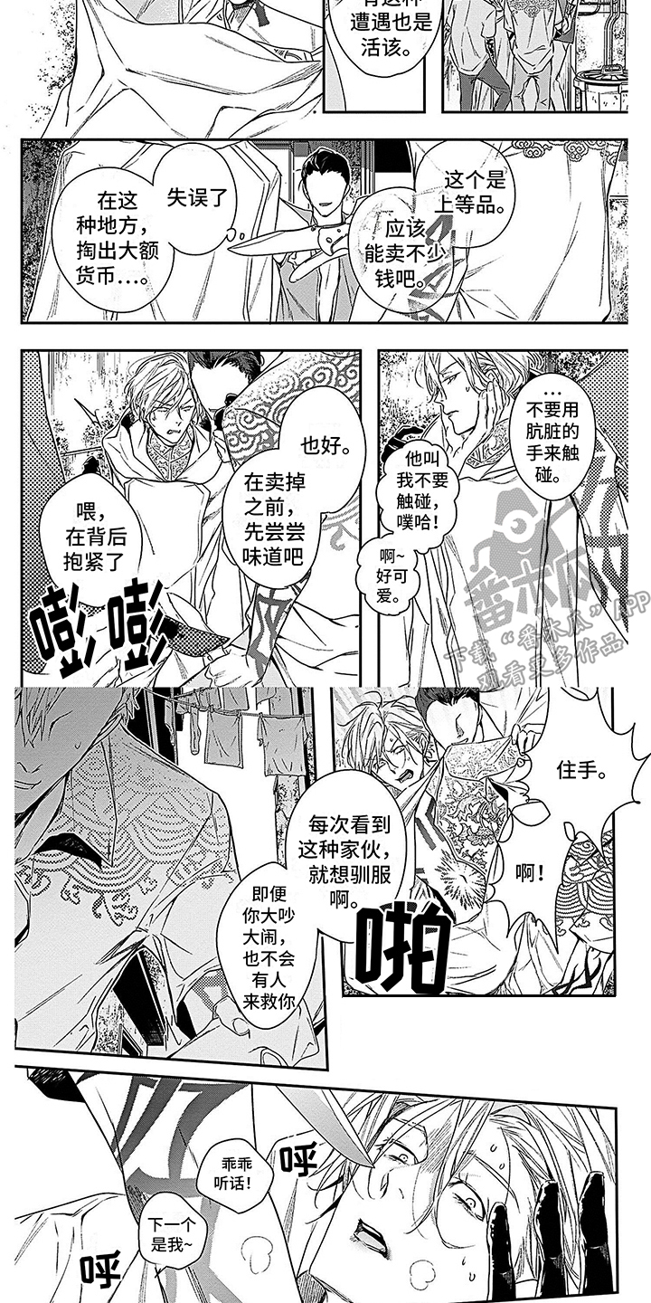 《乐园魔法师》第5章再次相遇 第6页
