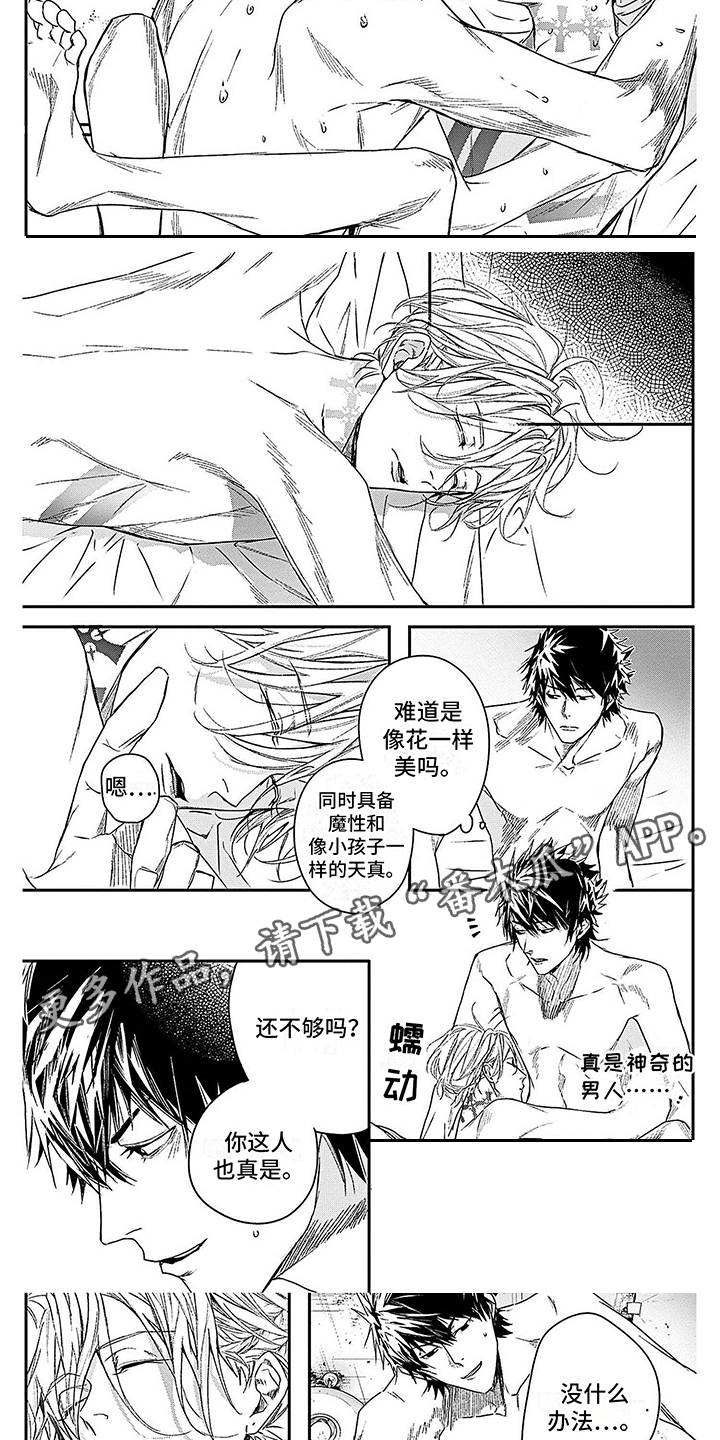 《乐园魔法师》第8章各方反应 第4页