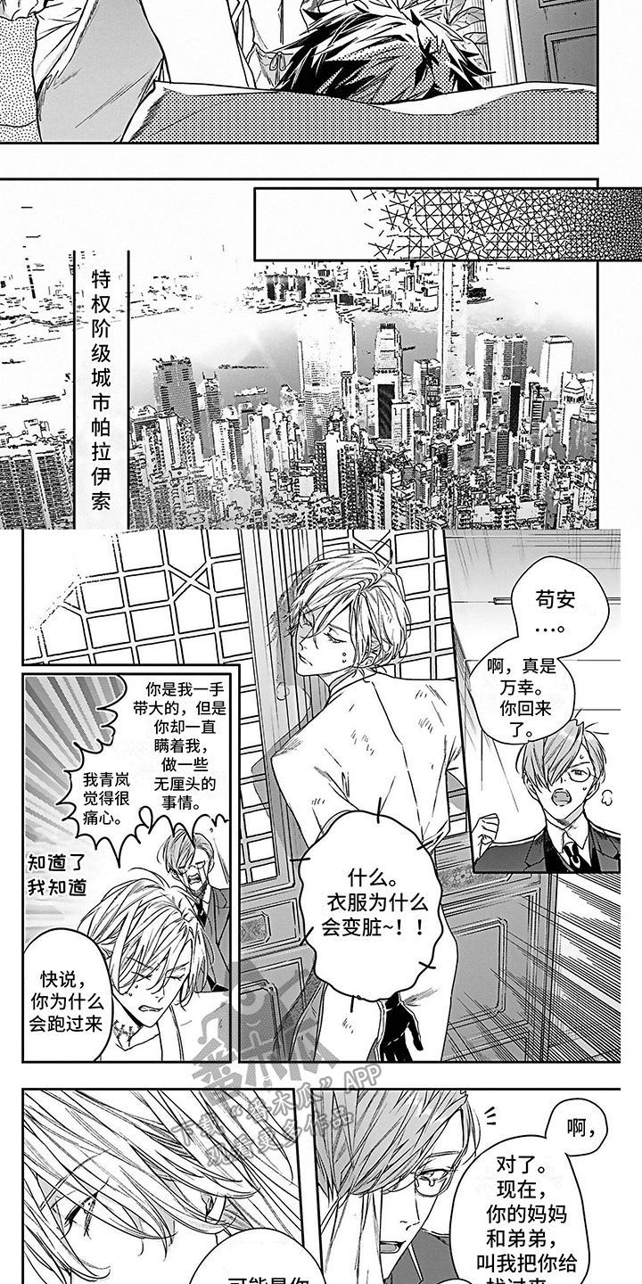 《乐园魔法师》第14章秘密 第3页