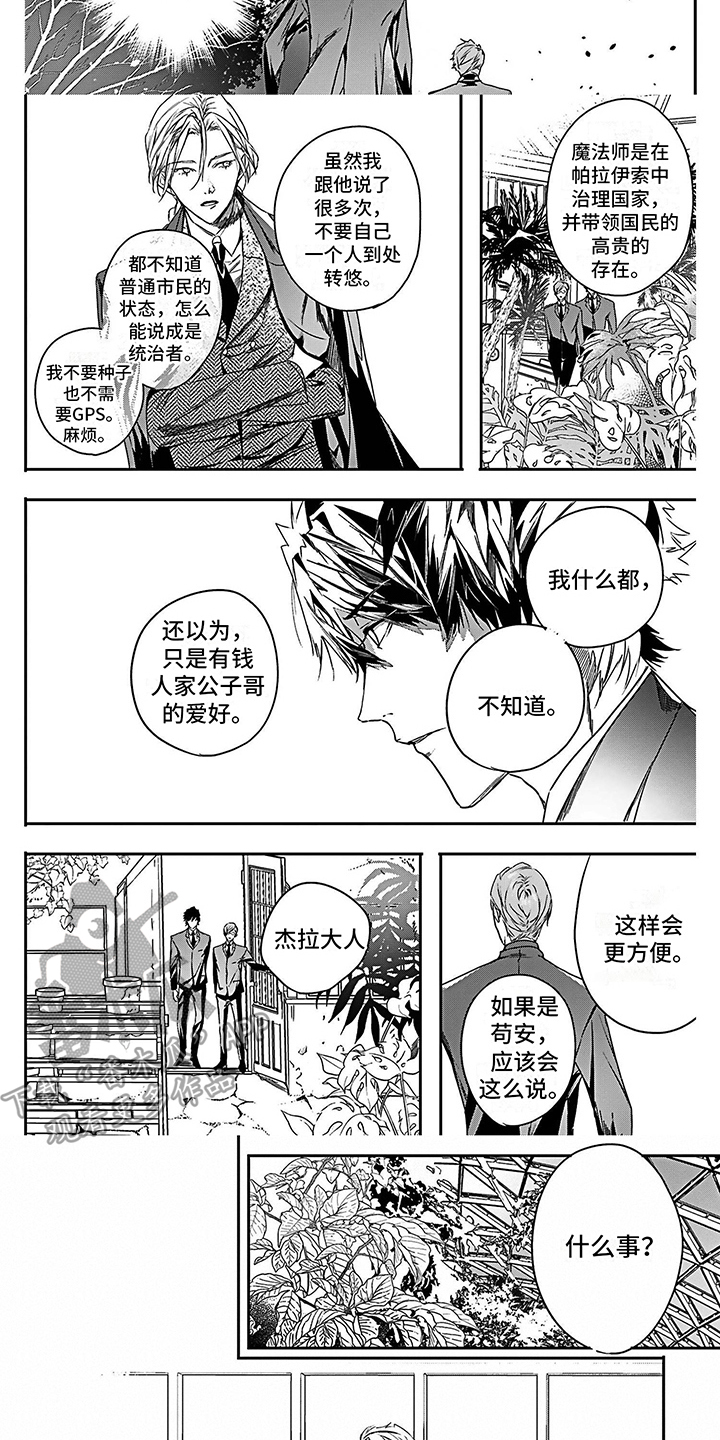《乐园魔法师》第23章寻找帮手 第5页