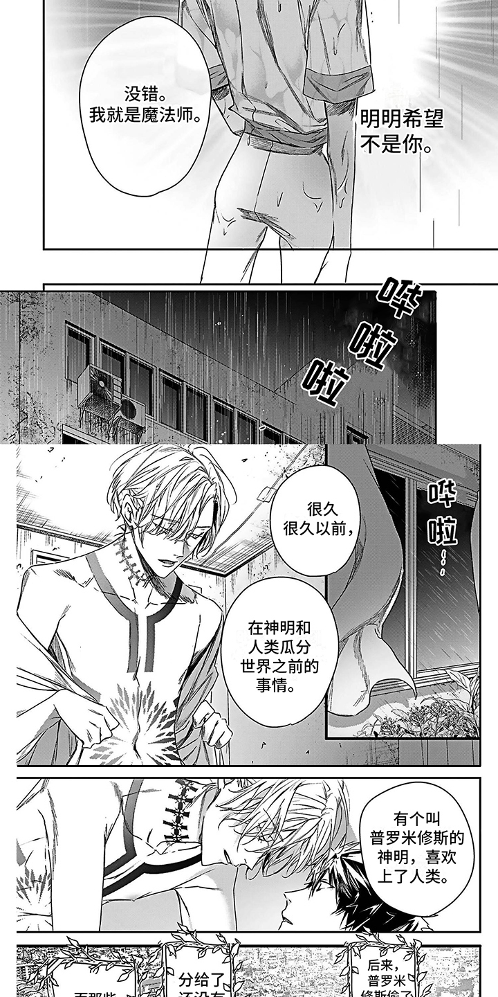 《乐园魔法师》第20章想通了 第2页