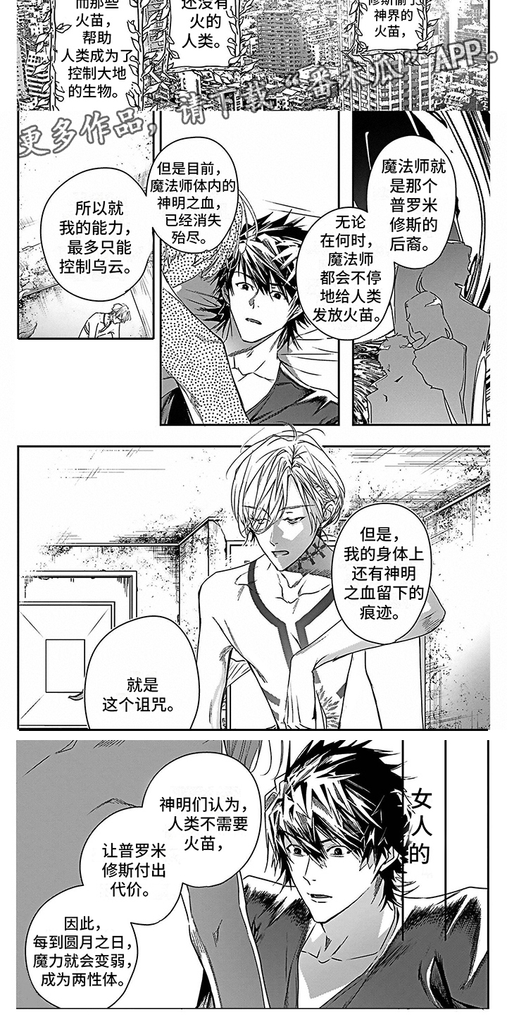 《乐园魔法师》第20章想通了 第3页
