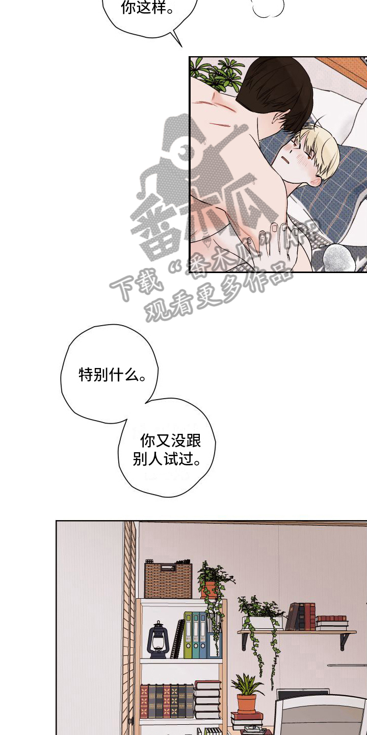 《特立独行》第23章爱意【完结】 第13页