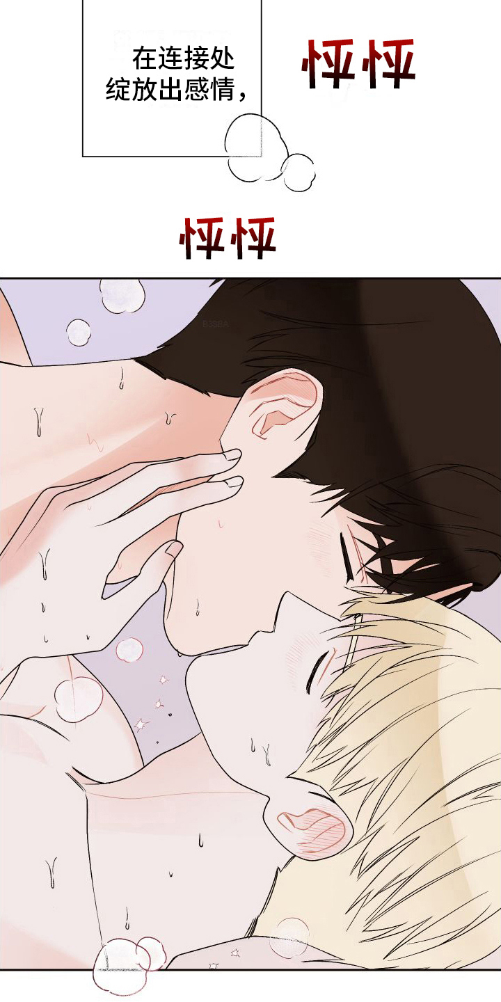 《特立独行》第23章爱意【完结】 第17页