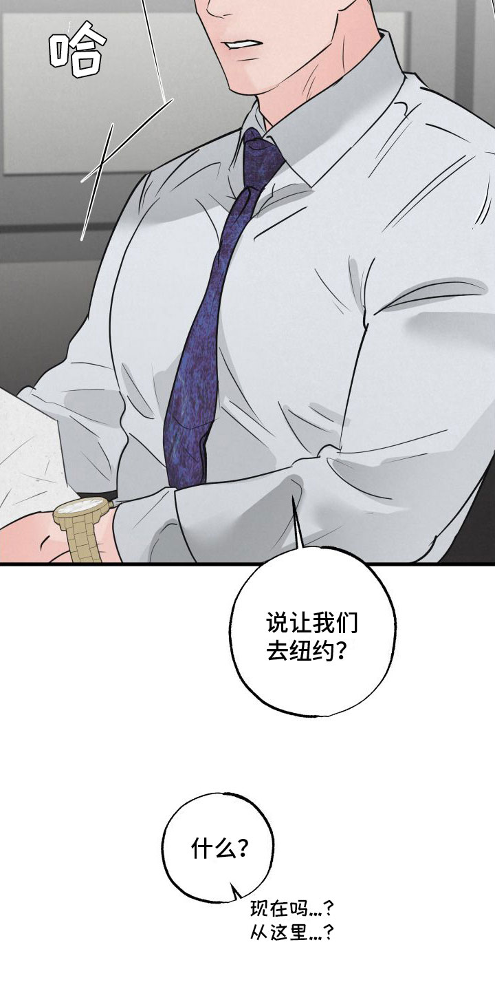 《热量狂飙》第3章去纽约 第15页