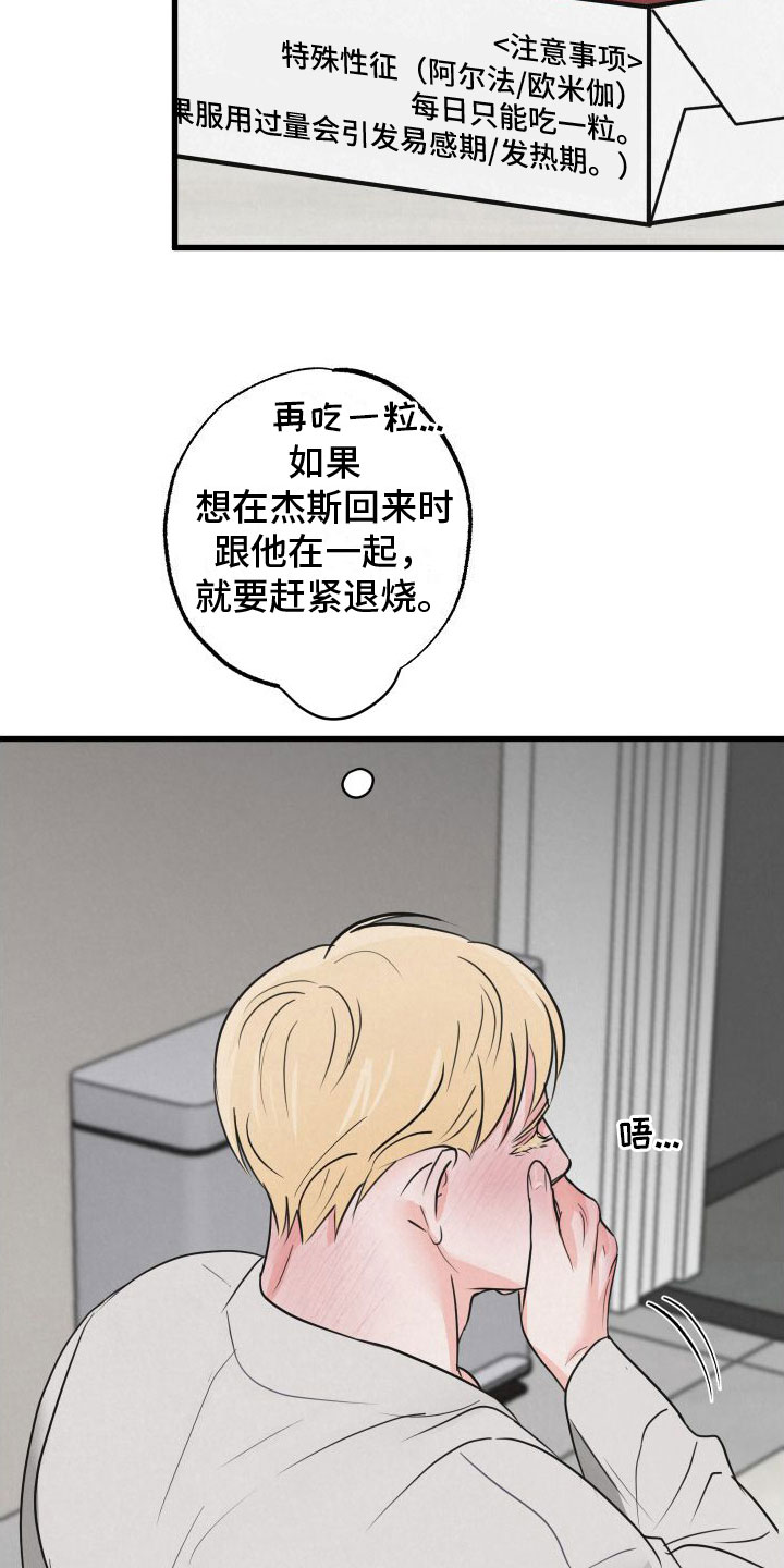 《热量狂飙》第7章发烧 第19页