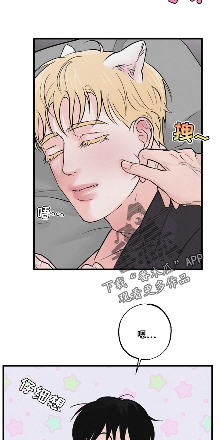 《热量狂飙》第12章小狗 第16页