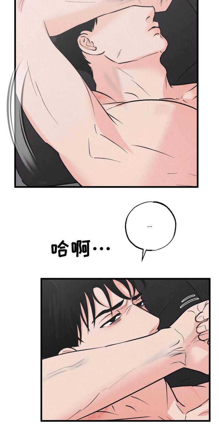 《热量狂飙》第12章小狗 第3页