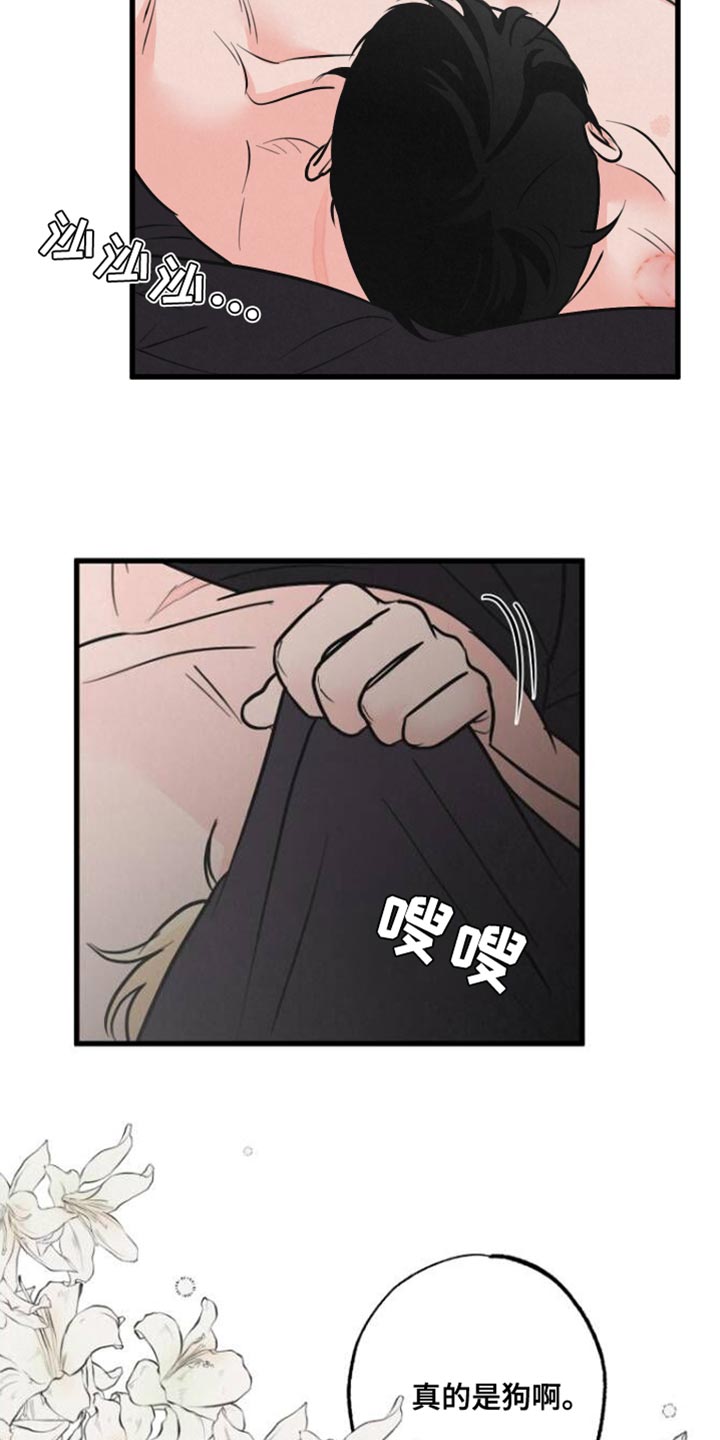 《热量狂飙》第12章小狗 第7页