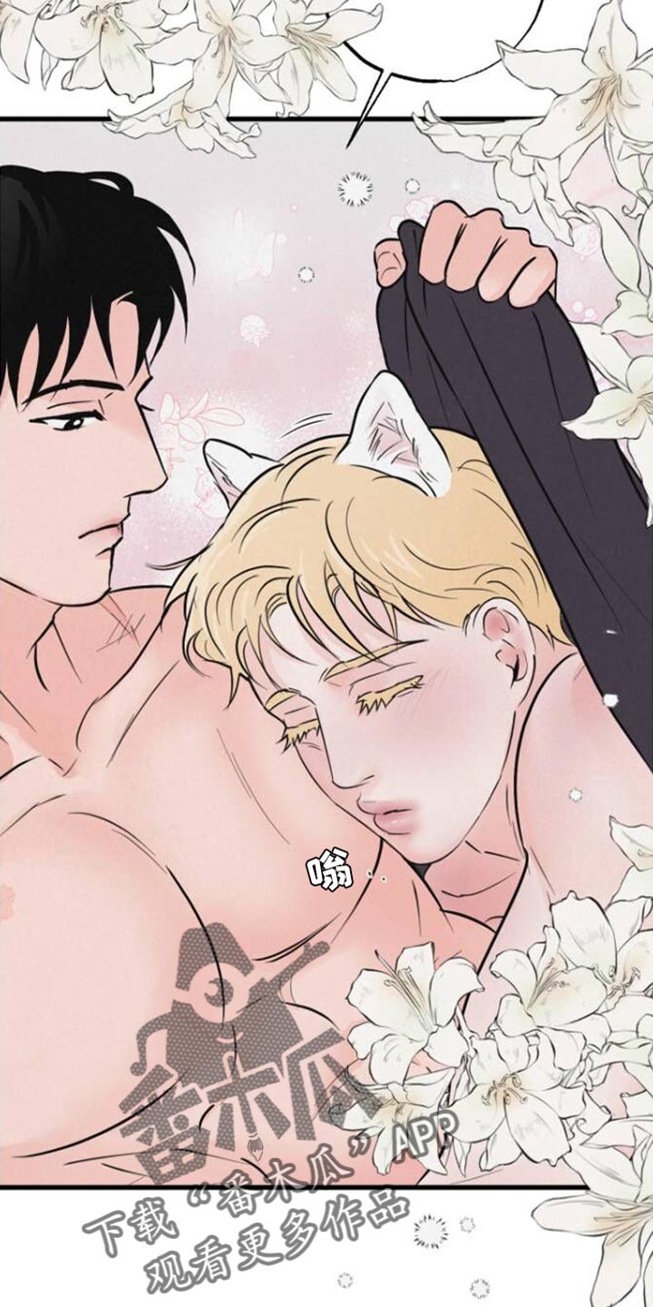 《热量狂飙》第12章小狗 第8页