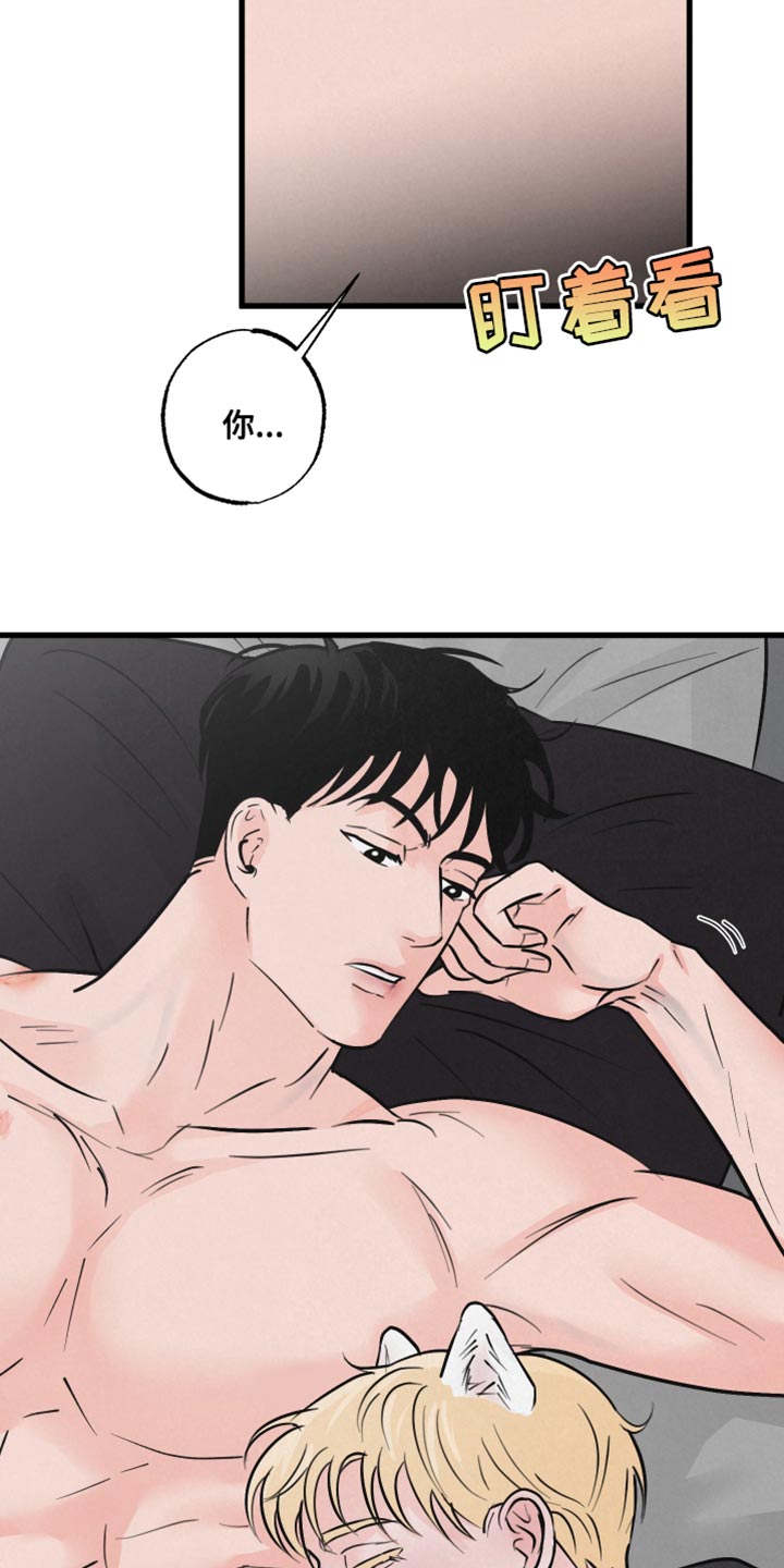 《热量狂飙》第13章责任 第13页