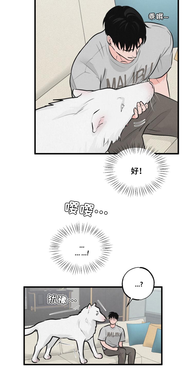 《热量狂飙》第15章动物形状 第11页