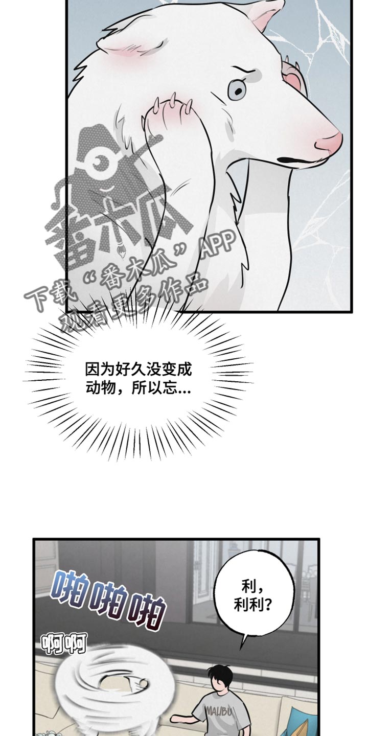 《热量狂飙》第15章动物形状 第13页