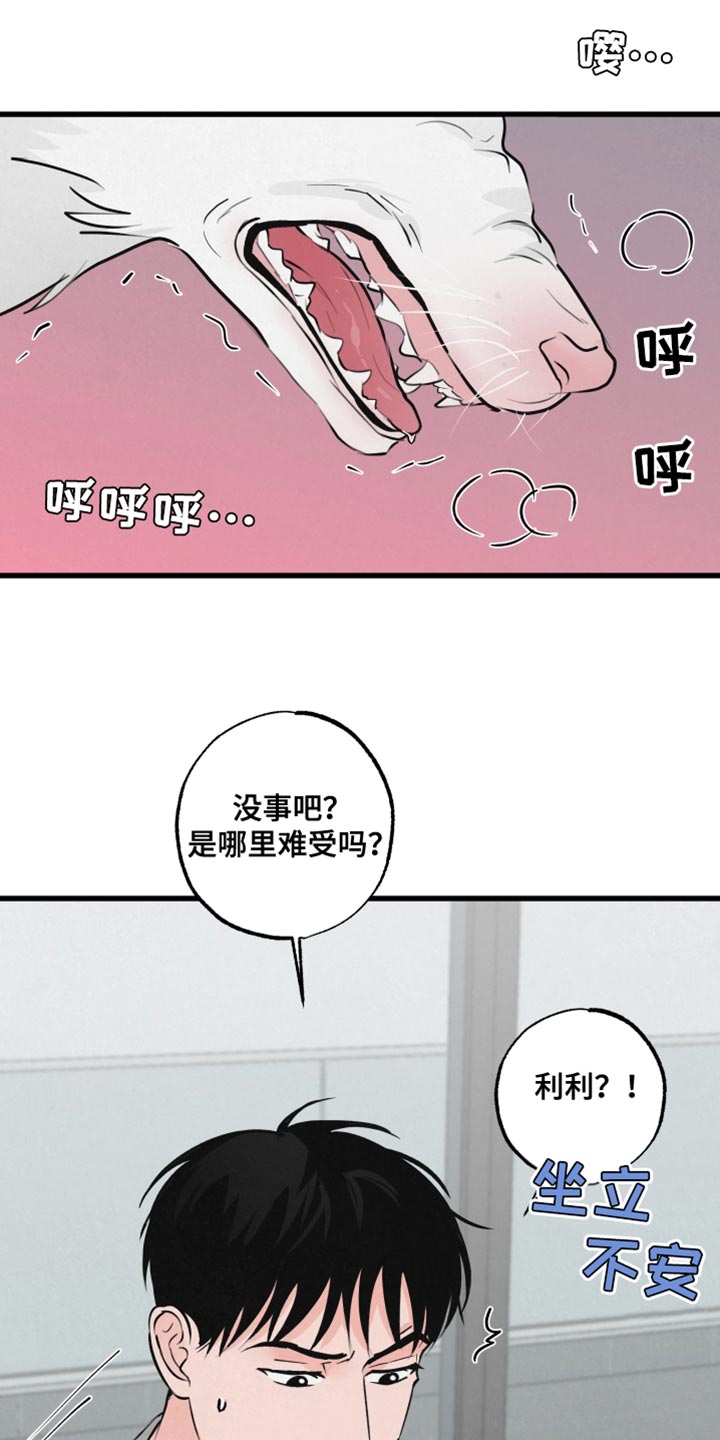 《热量狂飙》第15章动物形状 第15页