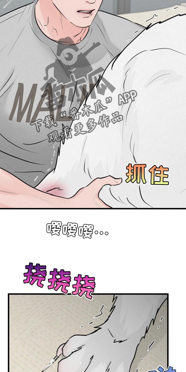 《热量狂飙》第15章动物形状 第16页