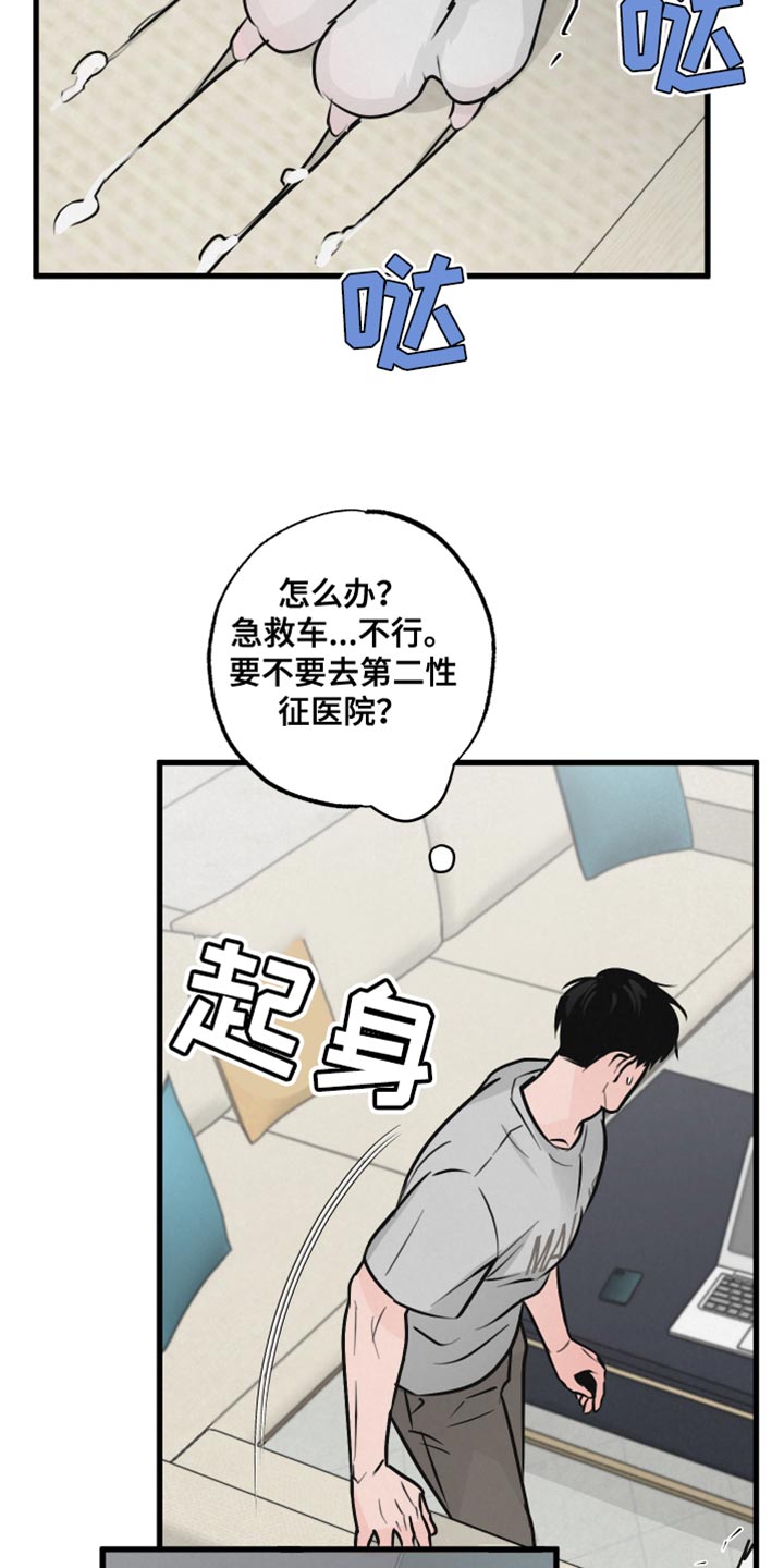 《热量狂飙》第15章动物形状 第17页