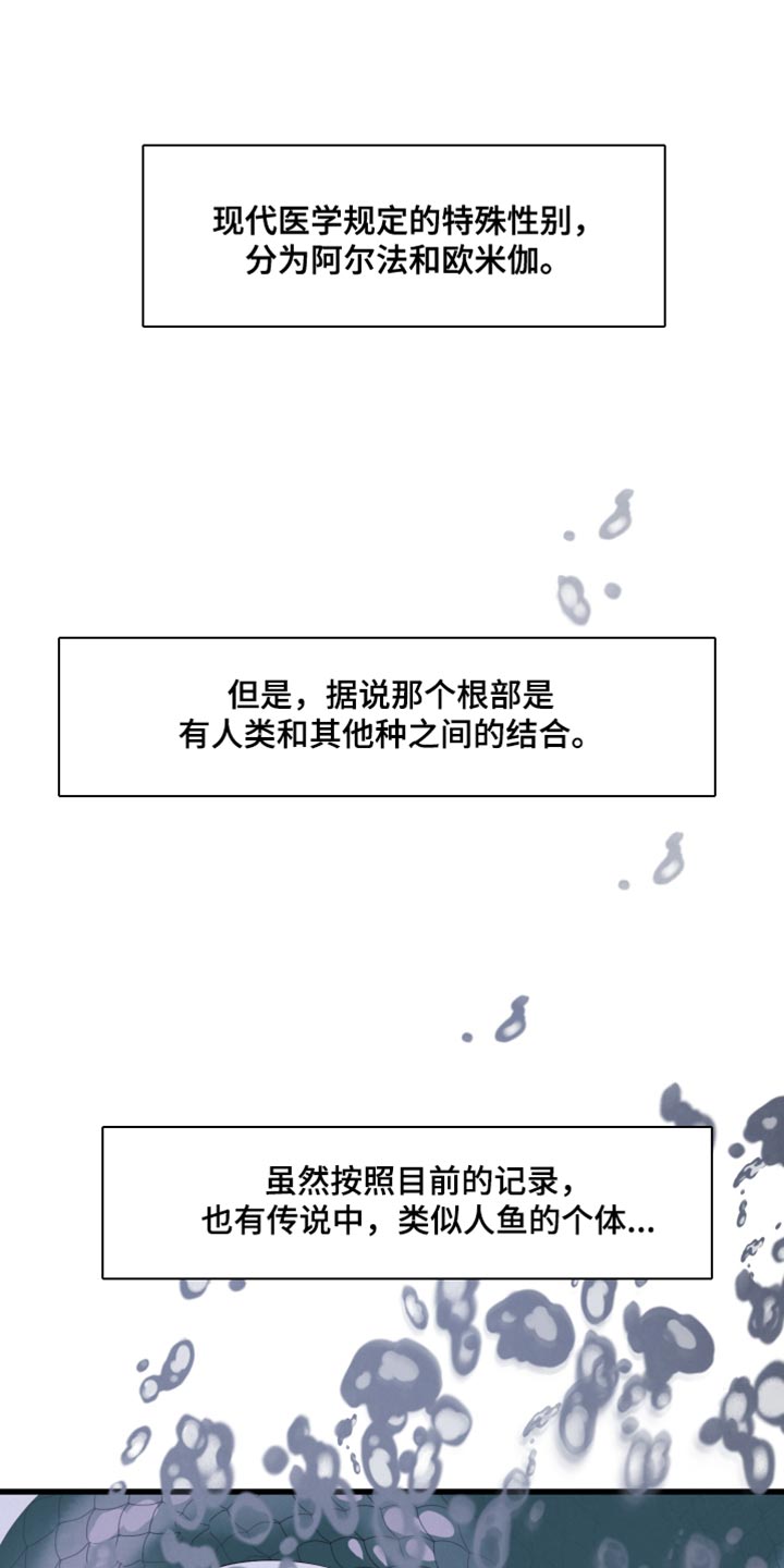 《热量狂飙》第15章动物形状 第1页