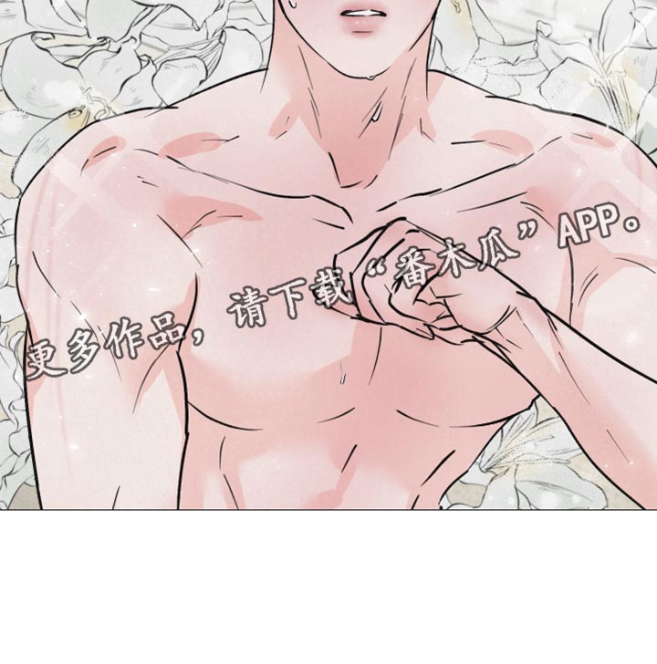 《热量狂飙》第15章动物形状 第23页