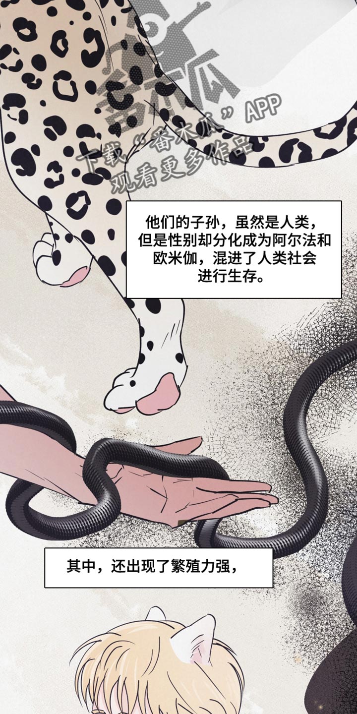 《热量狂飙》第15章动物形状 第3页