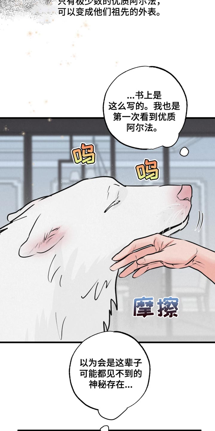 《热量狂飙》第15章动物形状 第5页