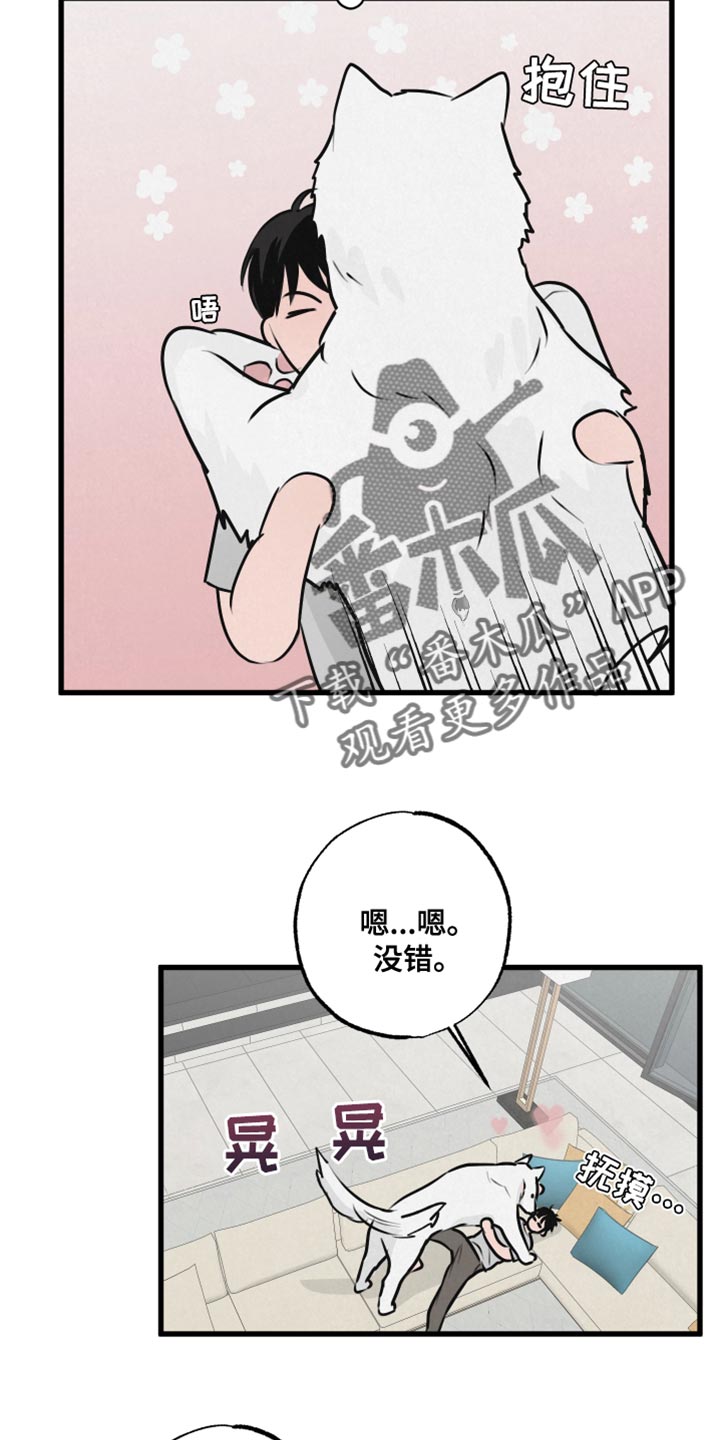 《热量狂飙》第15章动物形状 第6页