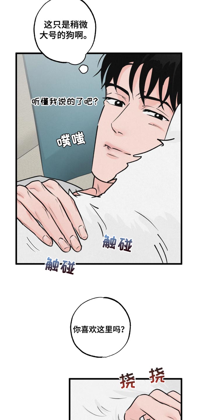 《热量狂飙》第15章动物形状 第7页
