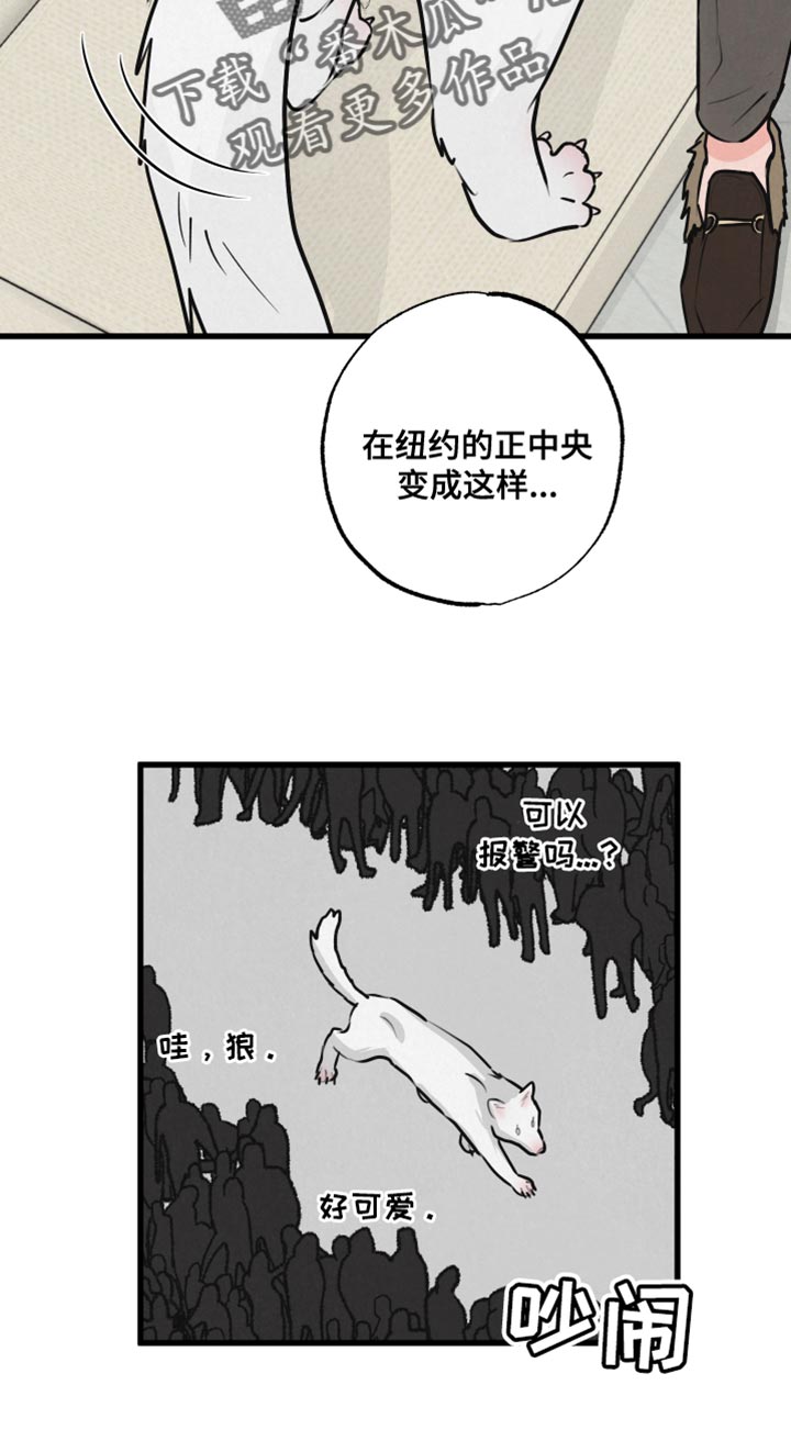 《热量狂飙》第15章动物形状 第9页