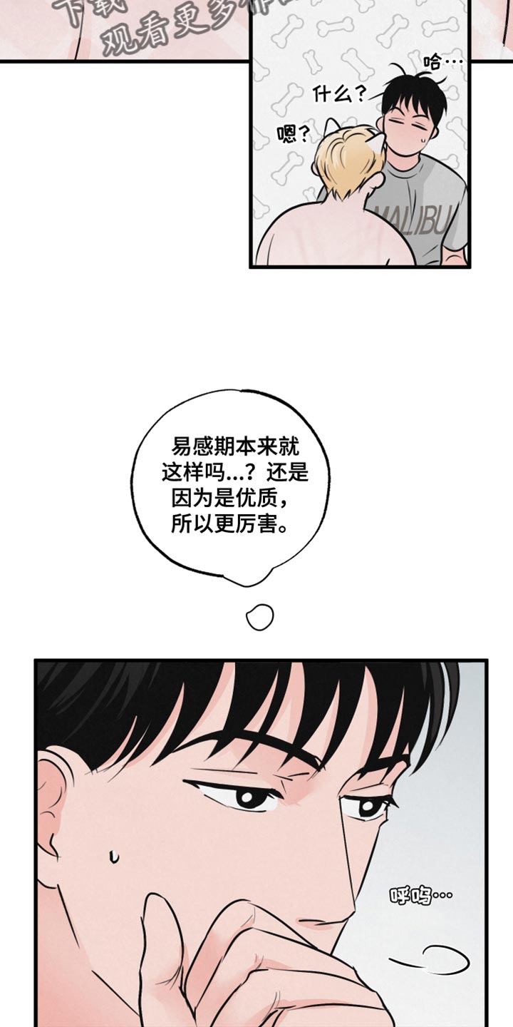 《热量狂飙》第16章担心 第17页