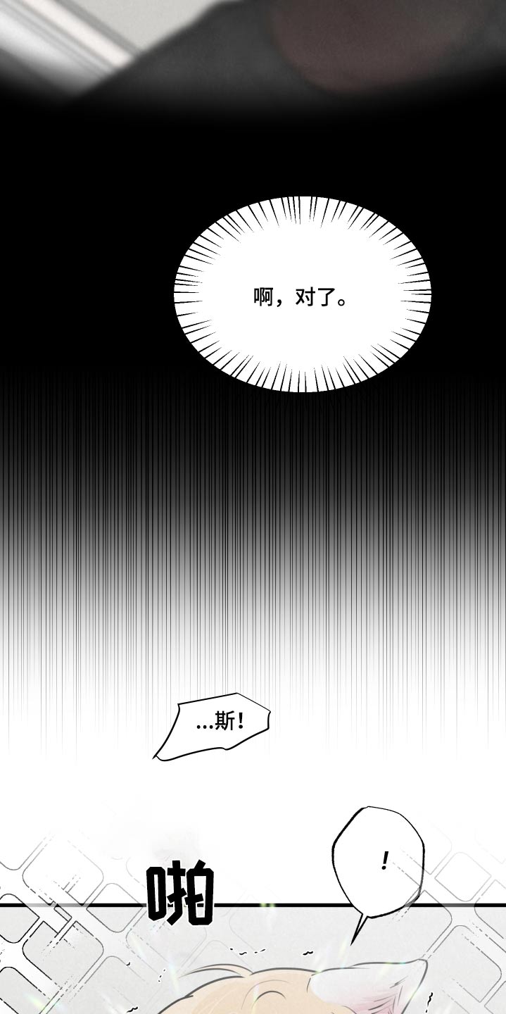 《热量狂飙》第25章苏醒 第3页